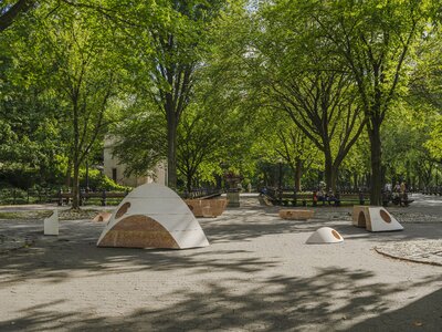 Interspecies Assembly installed in Central Park, New York City, 2021.