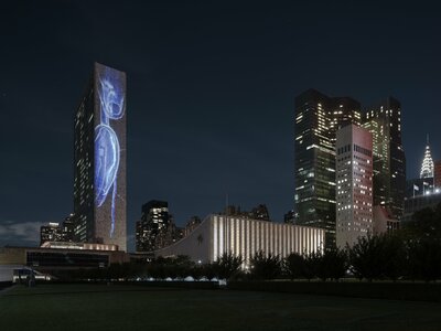 Vertical Migration installed at United Nations Headquarter, New York City, 2021. Photo: Lance Gerber