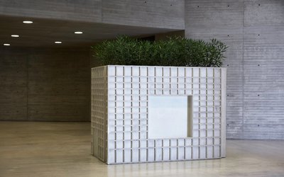 Large scale concrete version of Investment Bank Flowerpots/Morgan Stanley Rhododendron, 2017 installed at C3A, Córdoba, 2018.