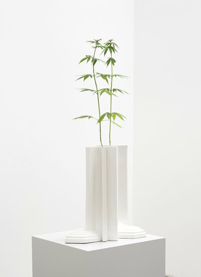 Investment Bank Flowerpots / Deutchebank Cannabis sativa installed for Like A Force Of Nature exhibition at Nils Stærk Gallery, 2021.