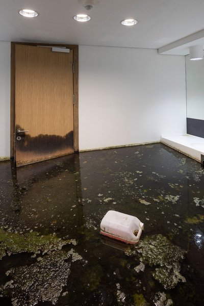 Power Toilets/UNFCCC installed at Cisternerne, Copenhagen, 2019. 