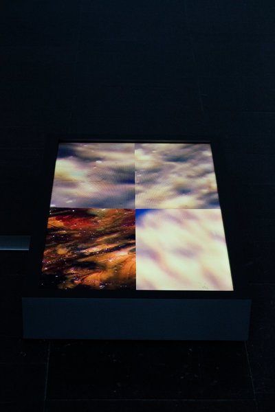 Once Upon a Time/The Collector, 2016 installed at Lunds Konsthall, Lund.