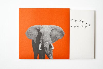 Warum sollten wir Angst vor großen Tieren haben?, 2018. Front cover and vinyl sleeve. 