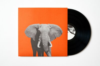 Warum sollten wir Angst vor großen Tieren haben?, 2018. Front cover and vinyl. 