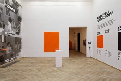 Installation view. Kunsthal Charlottenborg, Copenhagen, 2013. 