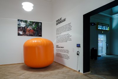 Installation view. Kunsthal Charlottenborg, Copenhagen, 2013. 