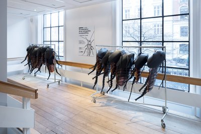 Cockroach Tour of a Retrospective Art Exhibition, 2013 installed at Kunsthal Charlottenborg, Copenhagen.