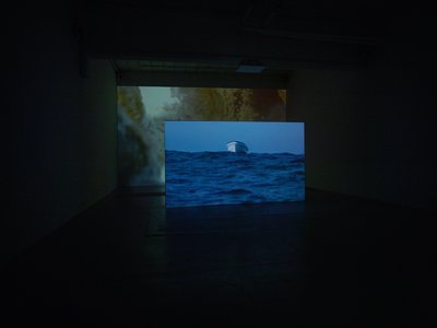 European Union Mayotte, 2016 installed at Nils Stærk Gallery, Copenhagen.